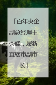 百年央企副总经理王秀峰，履新直辖市副市长